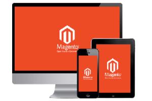 Portfolio for MAGENTO DEVELOPMENT